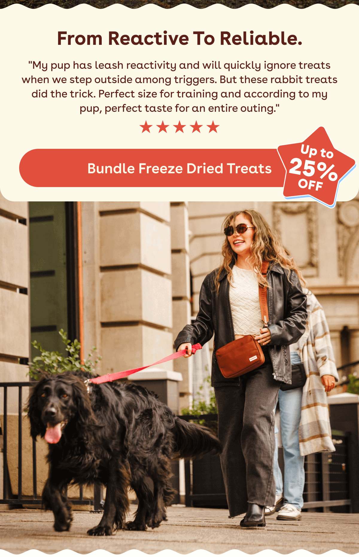 Bundle freeze dried training treats 