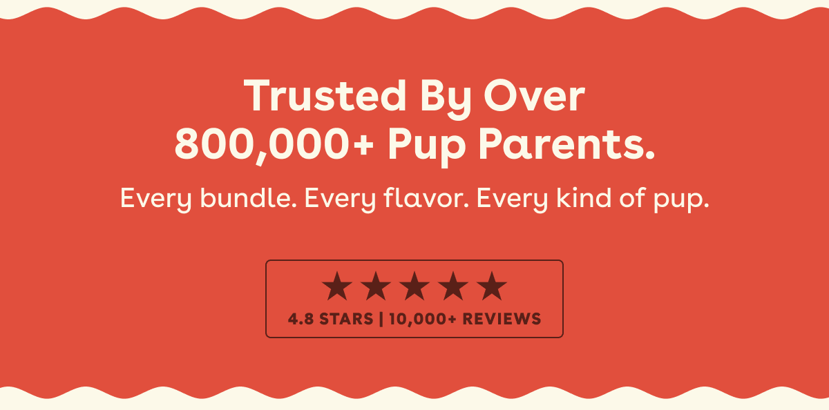 Trusted by 800,000 pup parents 
