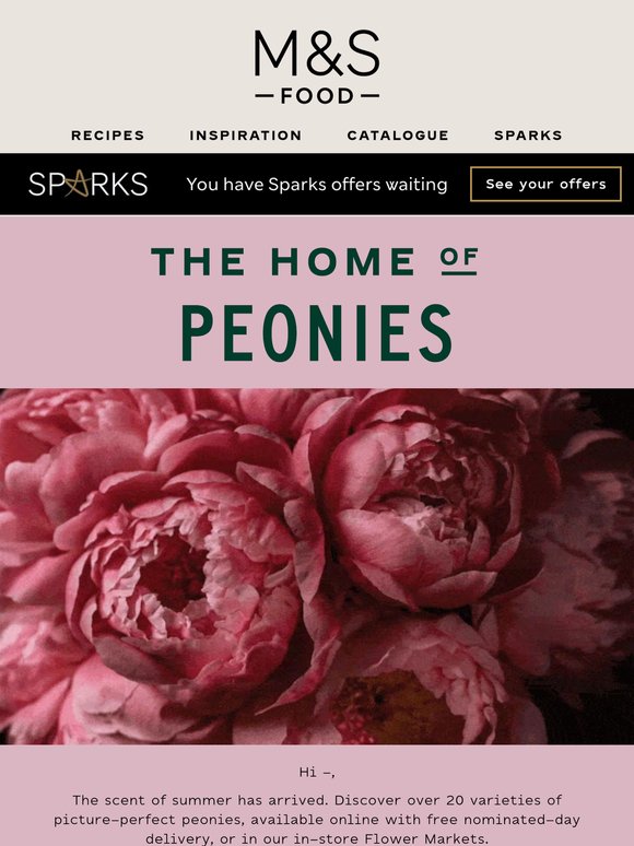 It's peony season 🌸