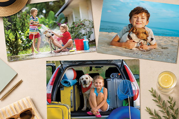 Photo Prints