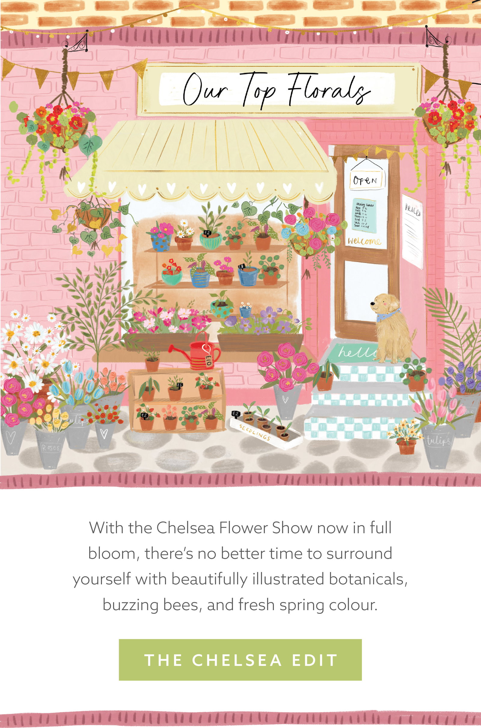 Illustrated flower shop filled with colourful blooms, potted plants and floral displays introducing the Whistlefish floral card collection.