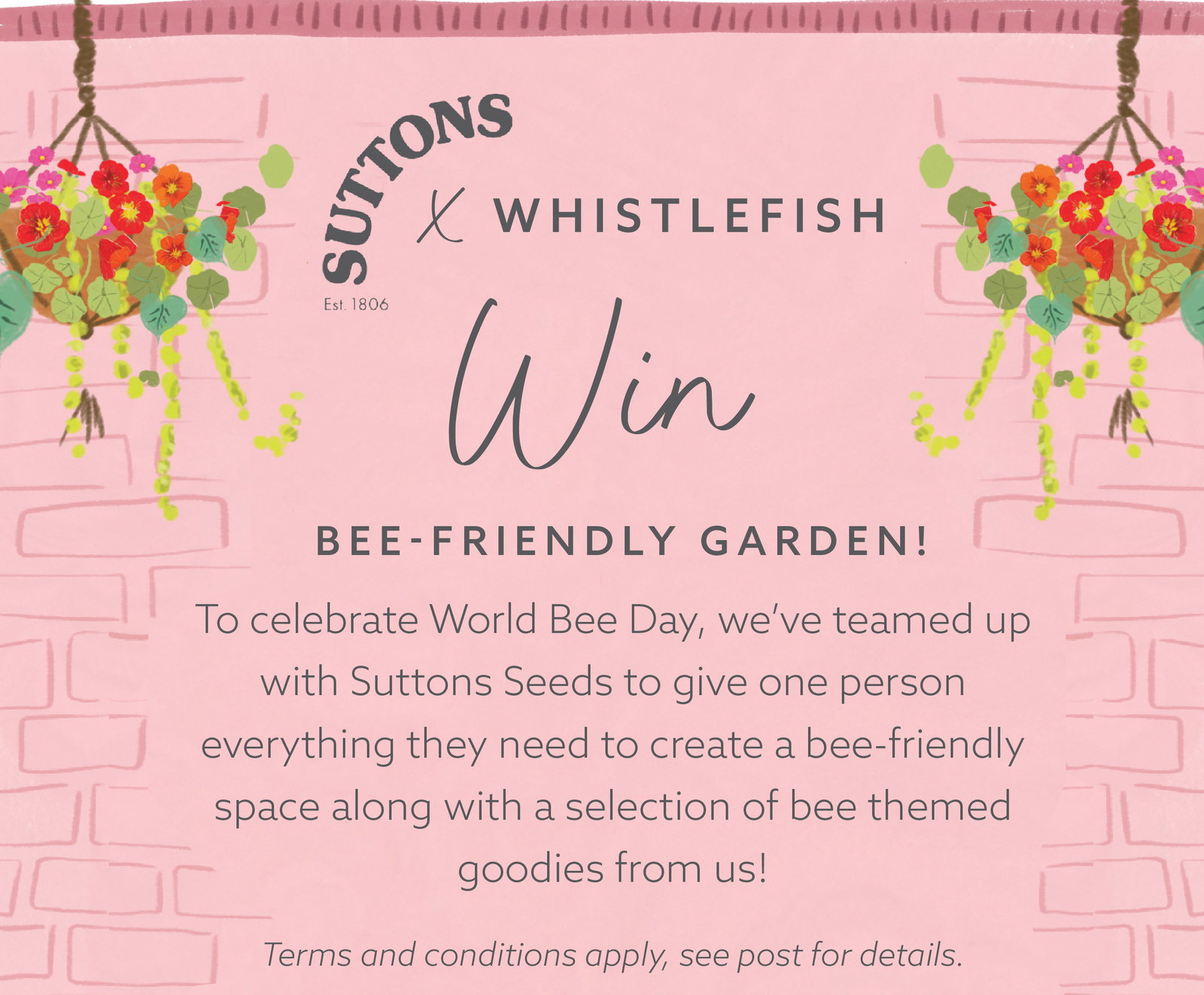 Whistlefish and Suttons Seeds giveaway illustration featuring hanging baskets, pink garden walls and a bee-friendly garden prize celebration.