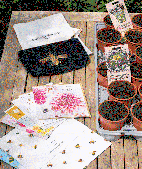 Bee-themed Whistlefish gift wrap and floral greeting cards arranged on a rustic wooden garden table beside wildflower seed packets and terracotta pots ready for planting.