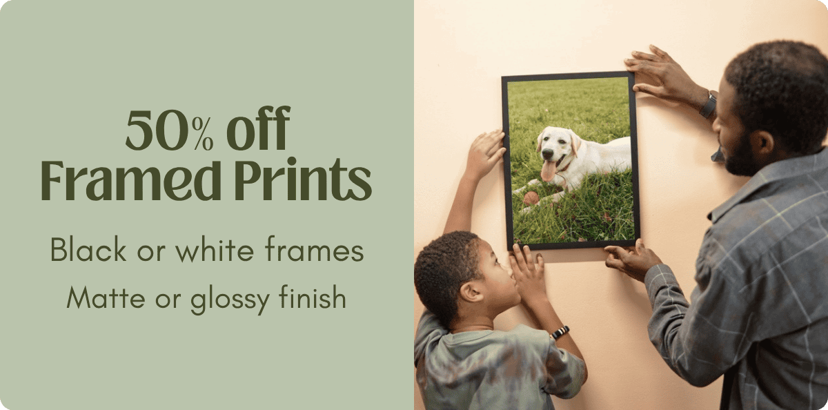 Shop framed prints