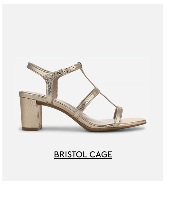 Bristol Cage