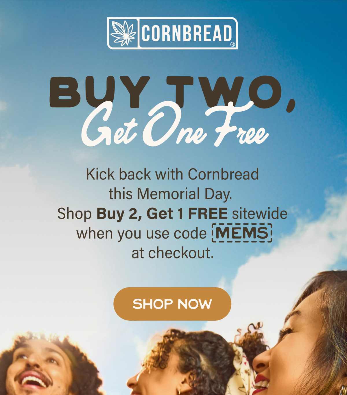 Buy Two, Get One Free with code MEMS