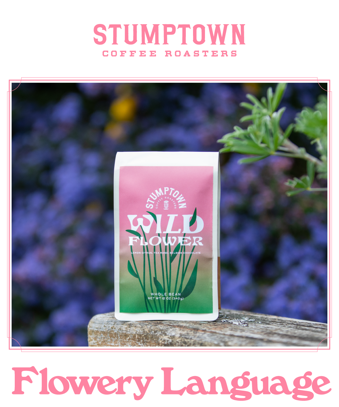 Stumptown Coffee Roasters Wildflower whole bean coffee bag with a pink-to-green gradient and illustrated flowers, placed outdoors on a wooden surface with soft purple foliage in the background, with the headline “Flowery Language” below.