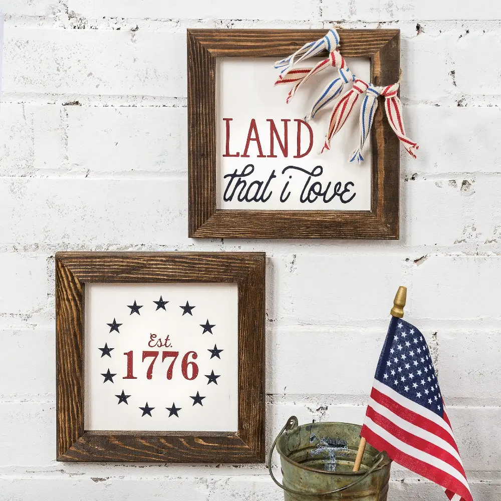 Patriotic Signs Craft Kit