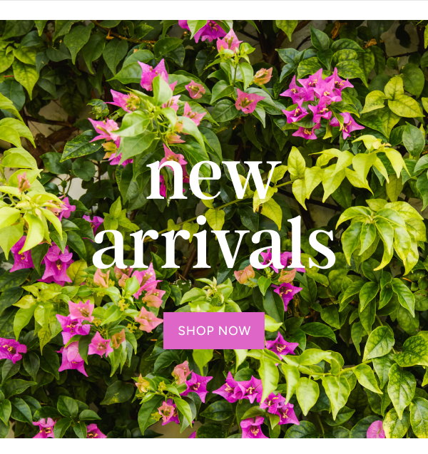 new arrivals | shop now