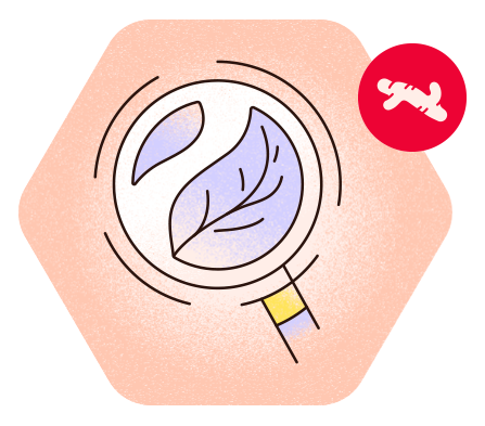 Illustration eines Blatts unter einer Lupe – Symbol für natürliche Inhaltsstoffe.