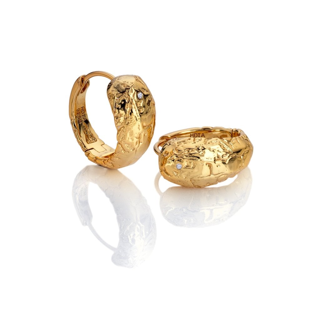 Image of HD X Golden Edit Muse Earrings