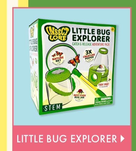 Little Bug Explorer
