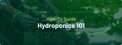 How-to Guide - Hydroponics 101