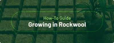 How-to Guide - Growing in Rockwool