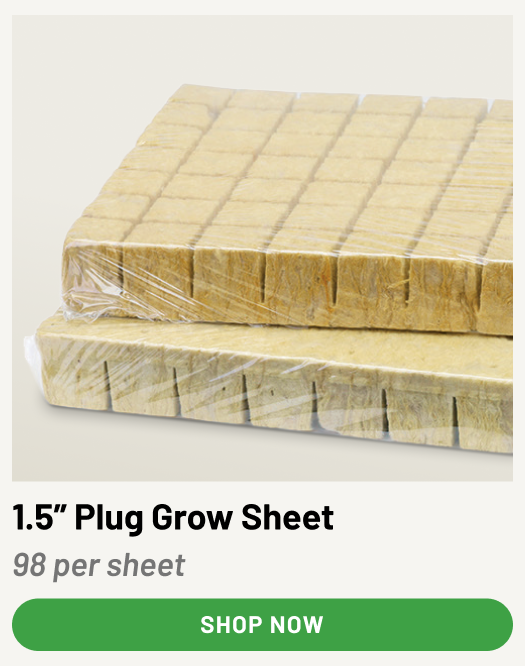 1.5” Plug Grow Sheet - 98 per sheet | Shop Now