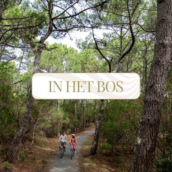 In het bos