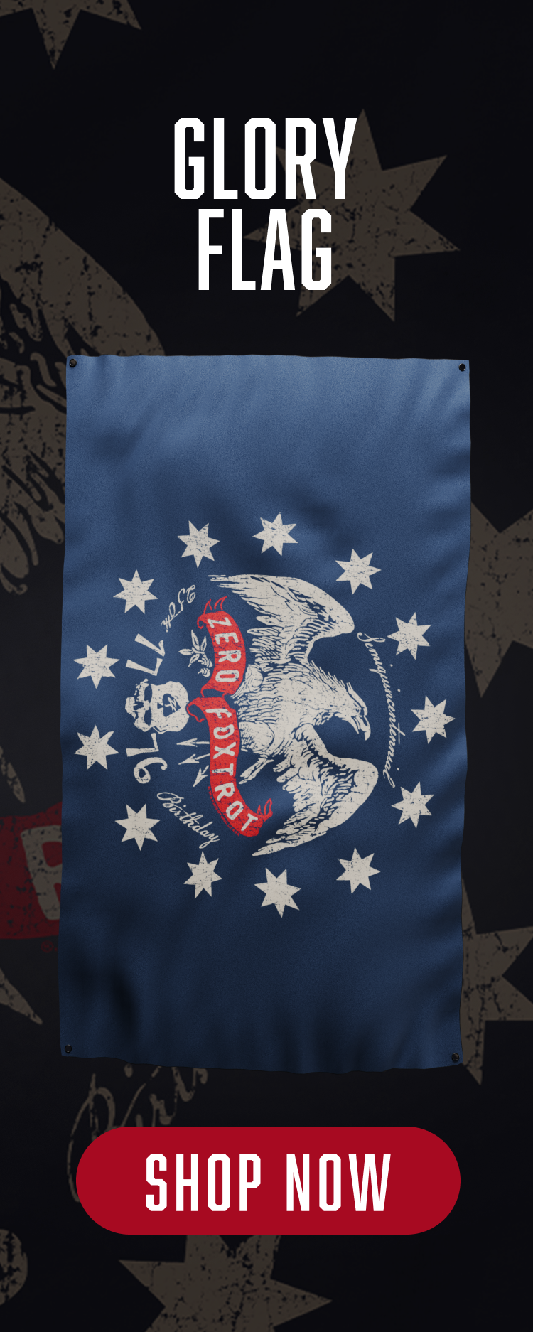 ZF Glory 250th Flag