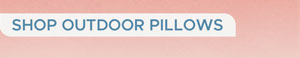 Outdoor Pillows
