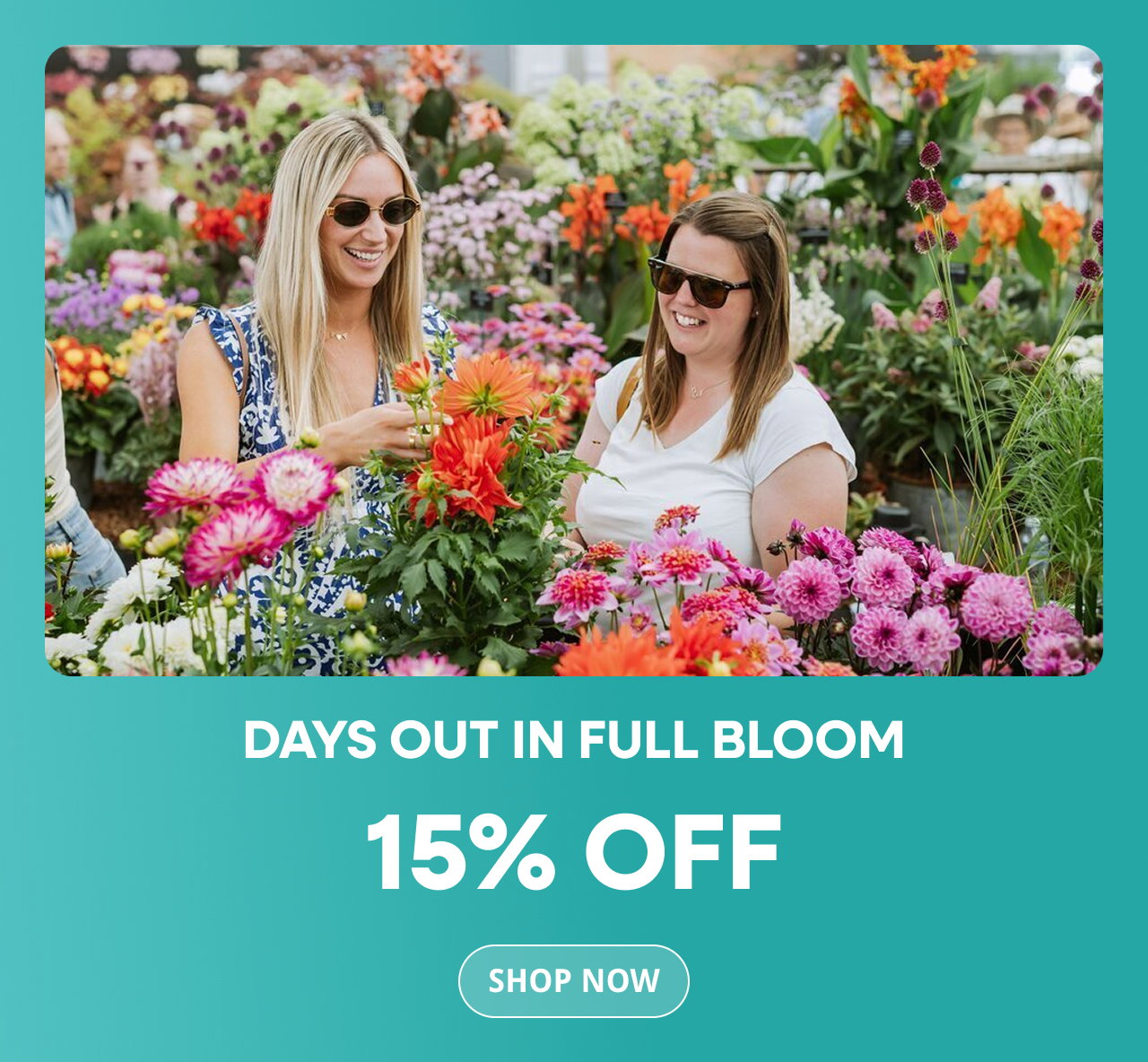 Days out in full bloom. 15% off