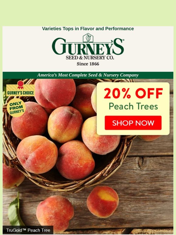 ⭐⭐⭐⭐⭐ "Best peaches ever!"