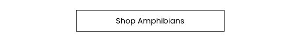Shop Amphibians