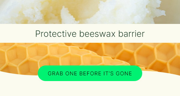 BACK & BIGGER: Lavender Lemonade Lip Balm