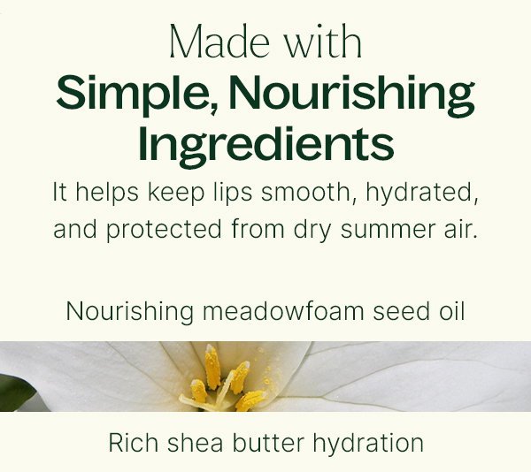 BACK & BIGGER: Lavender Lemonade Lip Balm