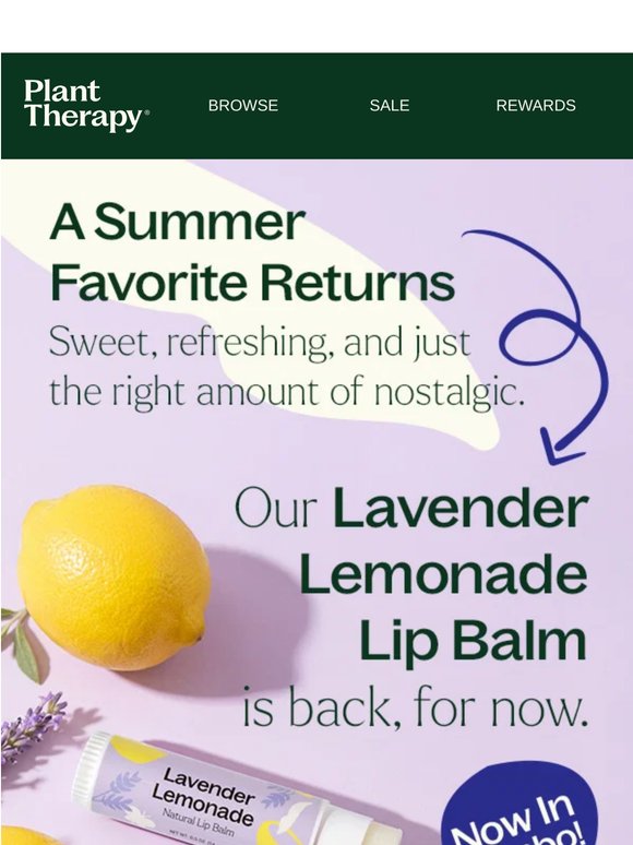 BACK By Popular Demand: Lavender Lemonade Lip Balm 🍋💜