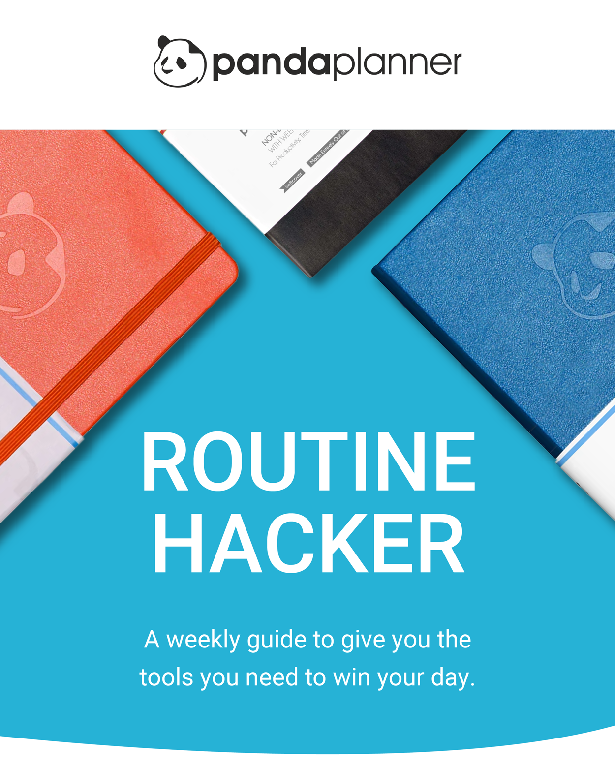 Routine Hacker