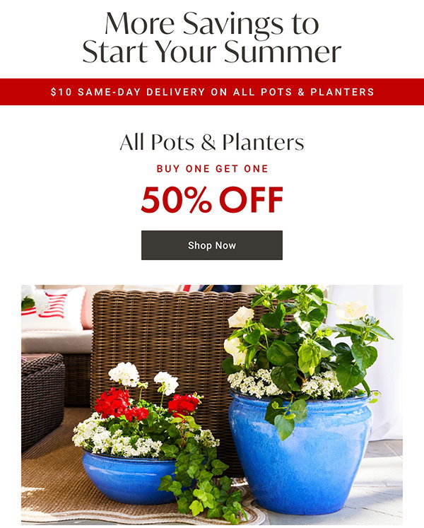 Buy One, Get One 50% Off All Pots & Planters | Shop Now >