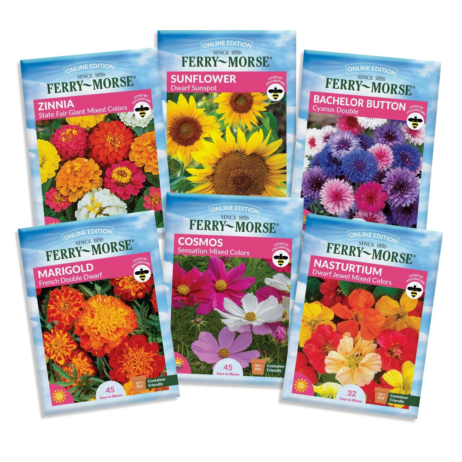 Image of Effortless Bloom Flower Seed Variety Pack- 6 Pack