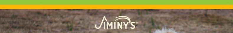 Jiminy's