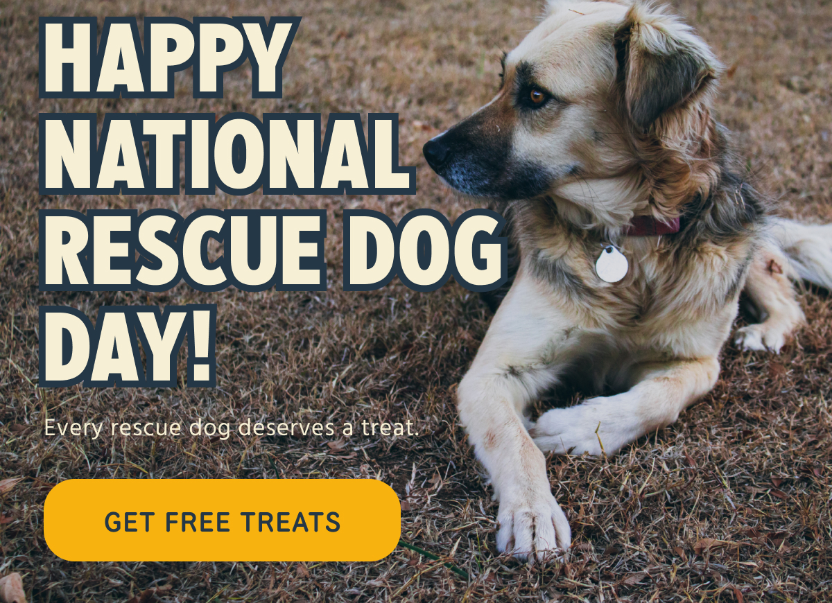 HAPPY NATIONAL RESCUE DOG DAY! Every rescue dog deserves a treat. -- GET FREE TREATS