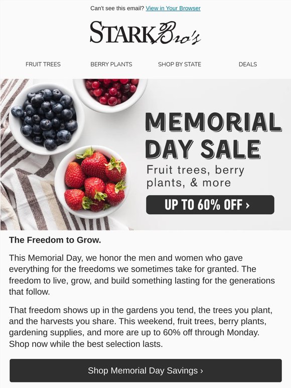 🌳 Memorial Day Sale. Up to 60% Off.