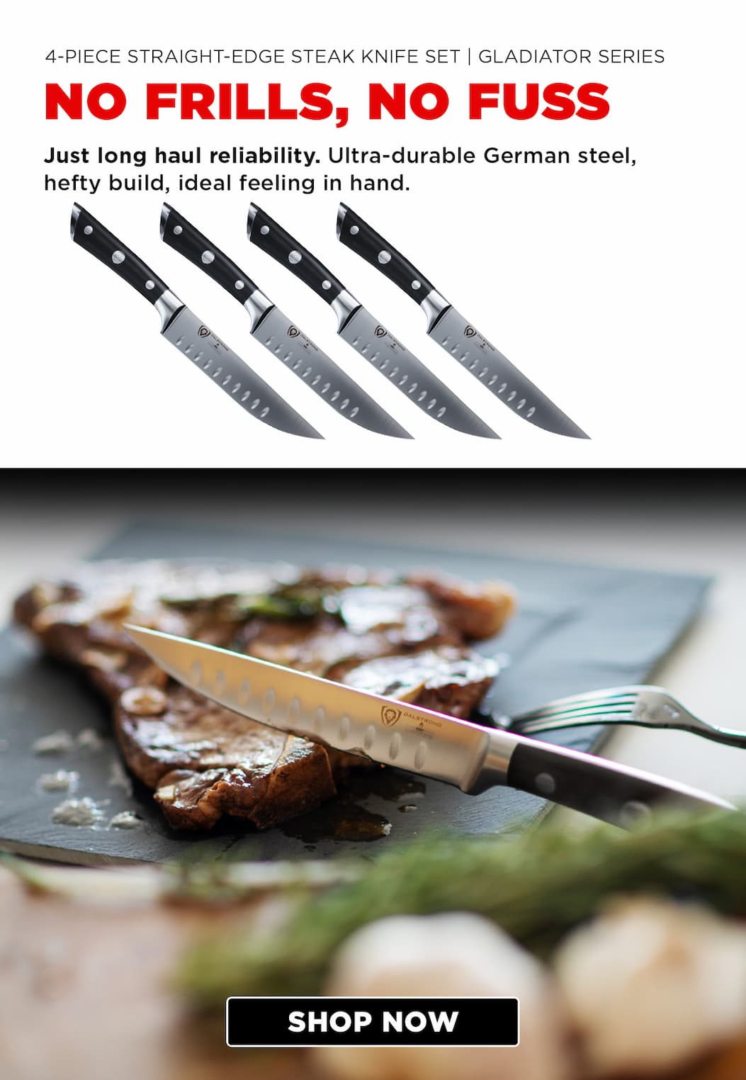 4 Piece Steak Knife Set | Gladiator Series