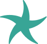 Star Icon