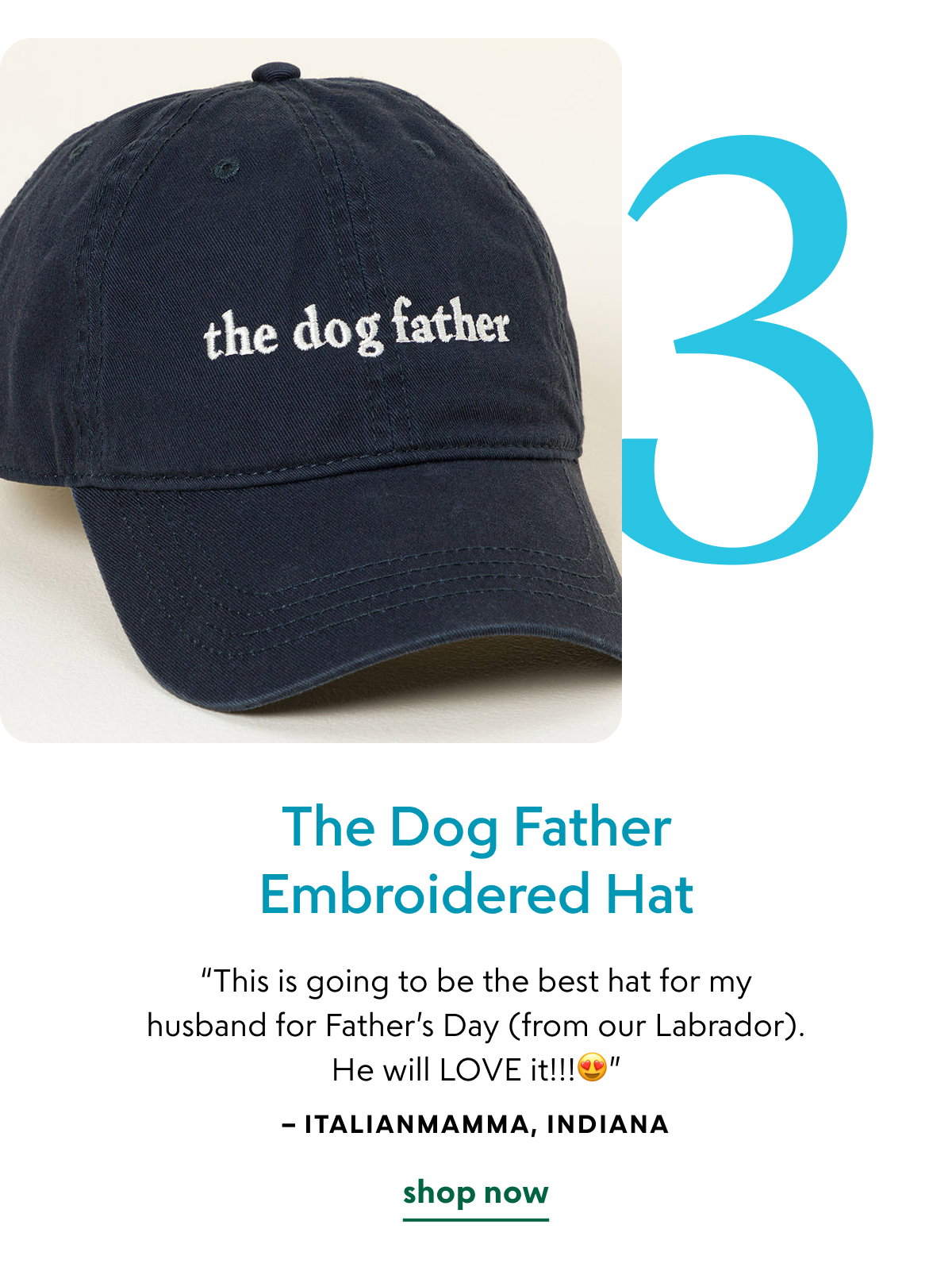 the-dog-father-embroidered-hat