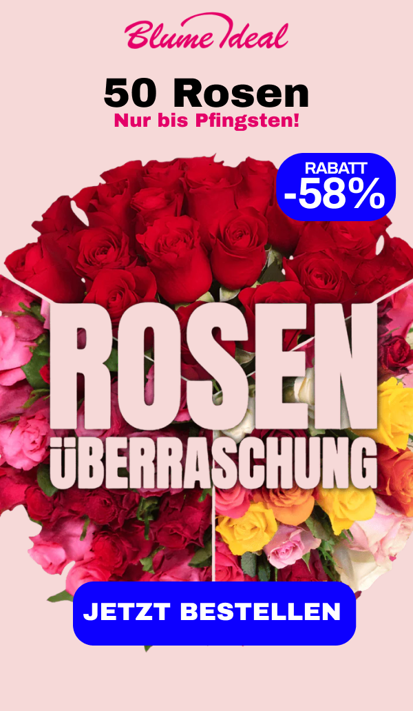 50 Rosenueberraschung