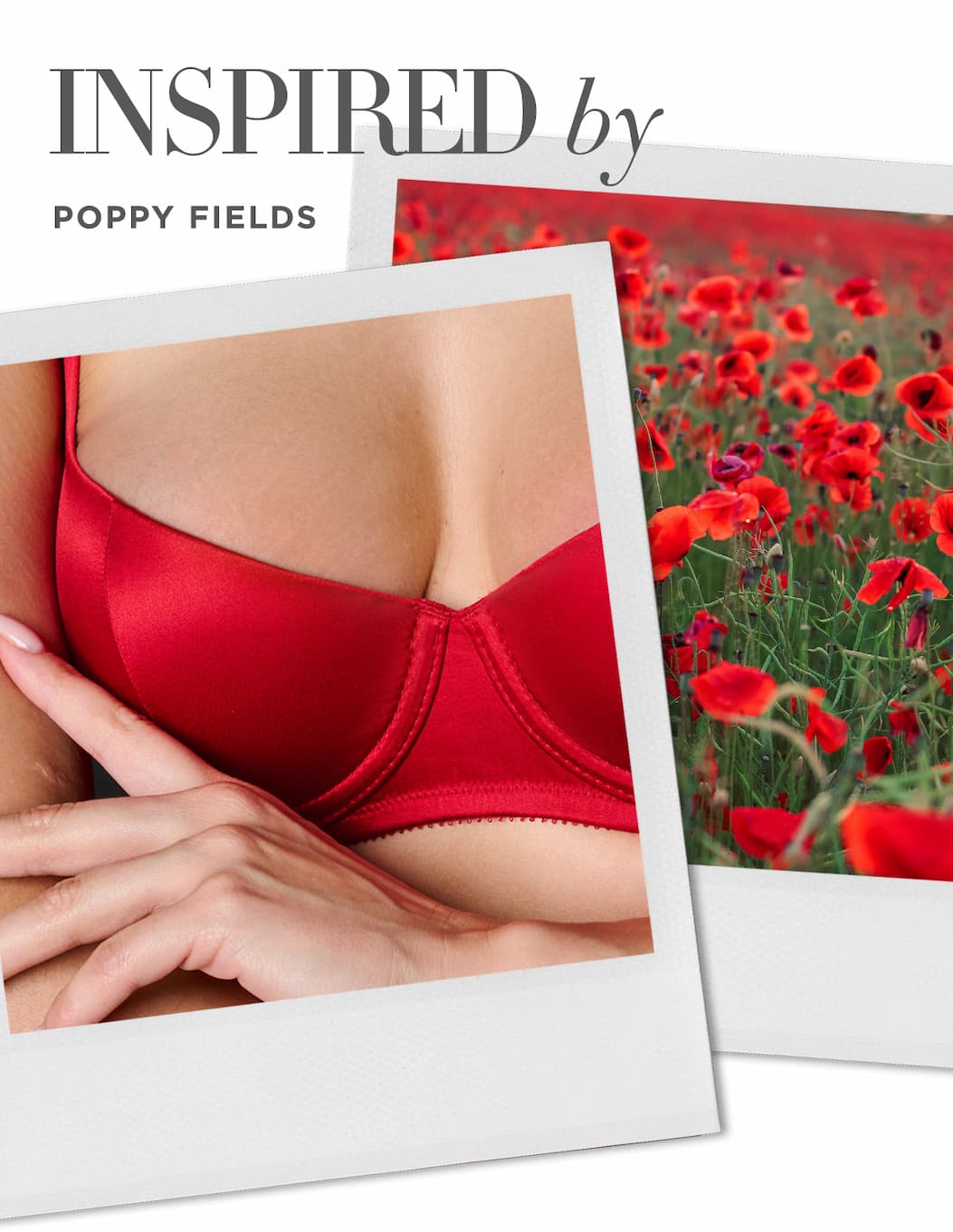 Inspired by Poppy Fields