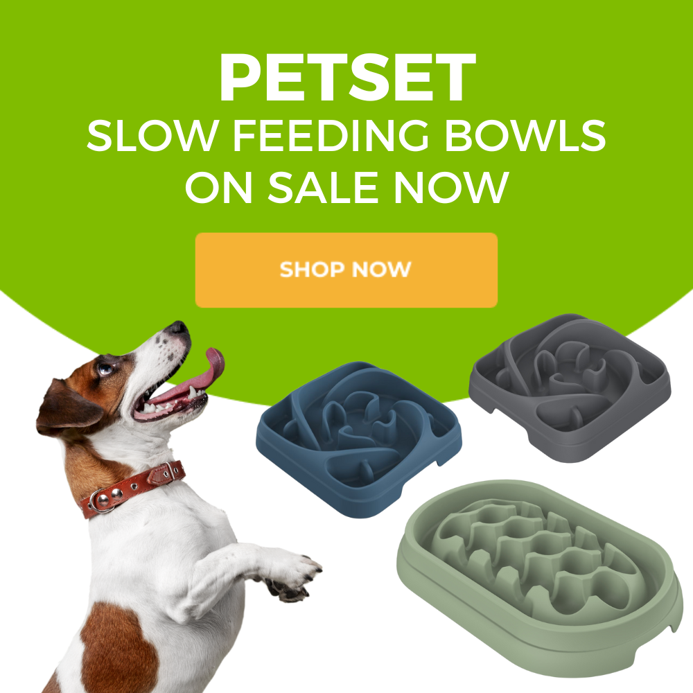 Petset bowl sale