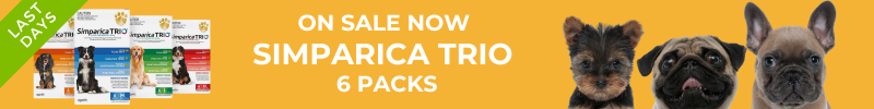 Simparica Trio sale - last days