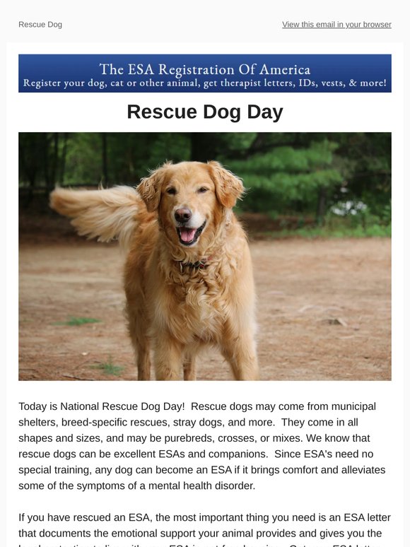Rescue Dog Day