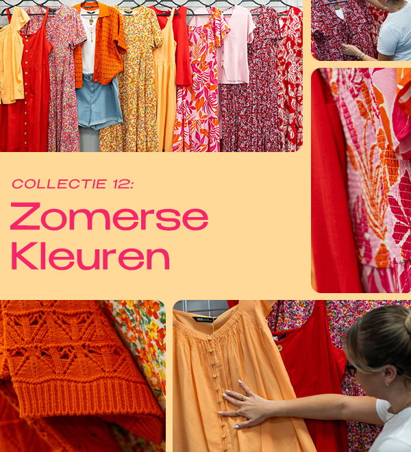 Zomerse Kleuren