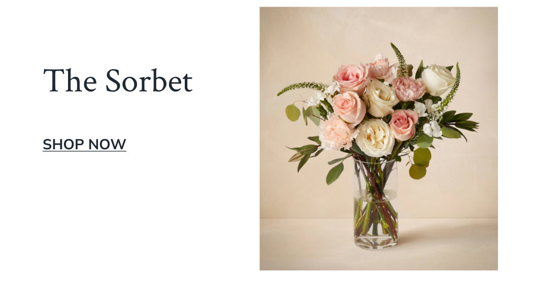 The Sorbet