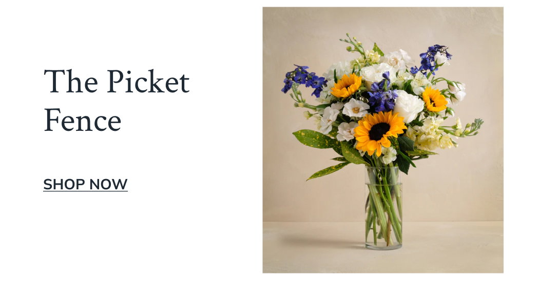 The Picket Fence