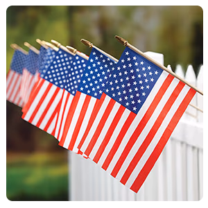 Mini American Flags, Set of 12