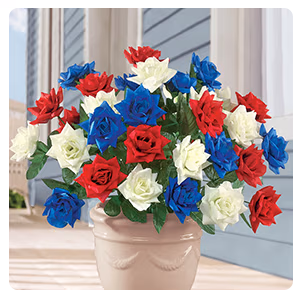 Patriotic Rose Bushes, Set of 3