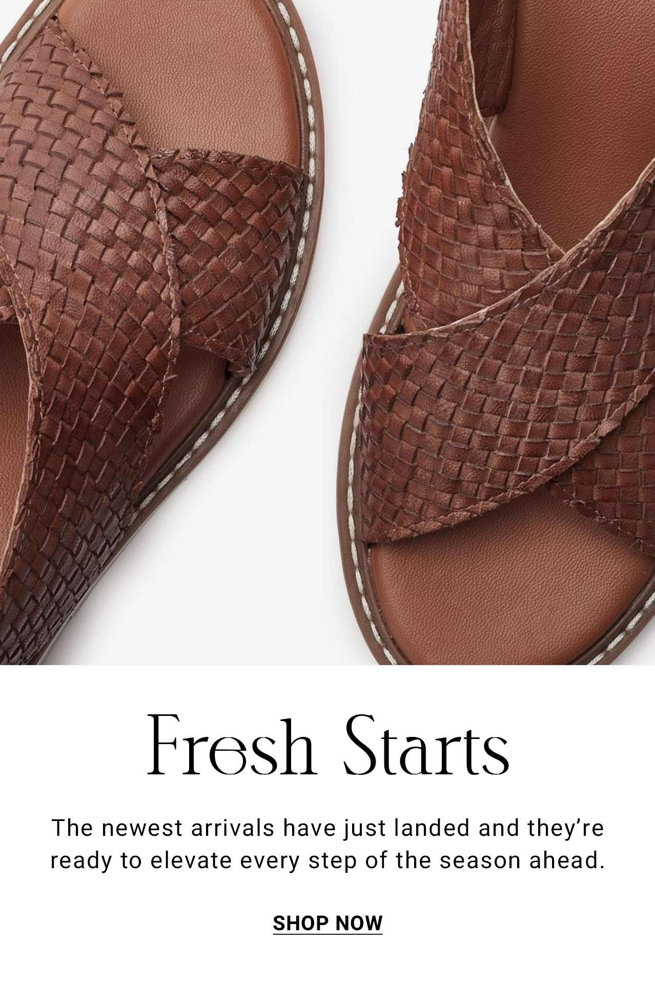 Shop New Arrivals 