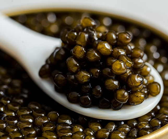 Imperia Caviar