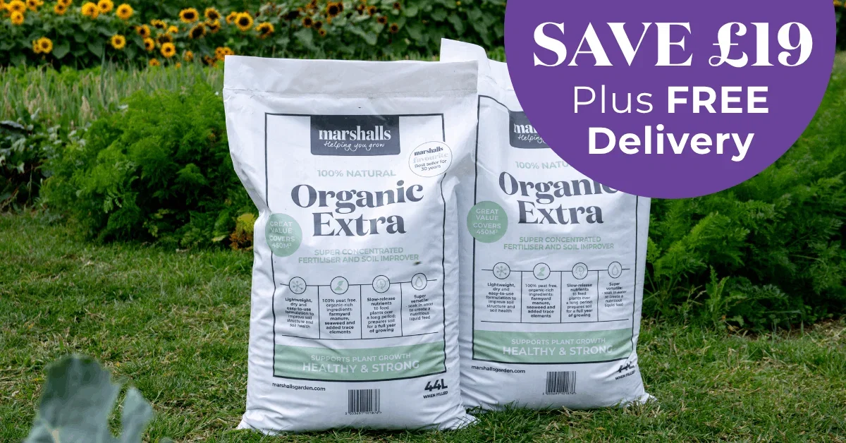 Save £19 Plus FREE Delivery